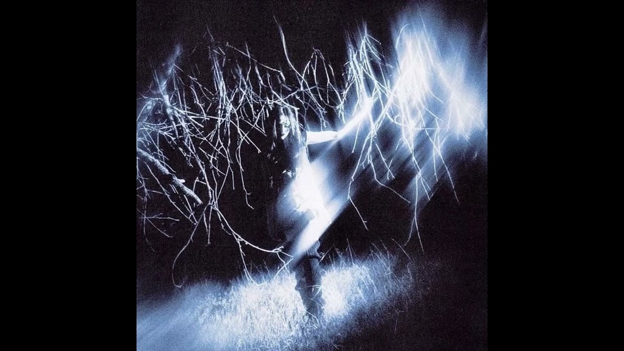 ✮ [SOLD] Deftones + Amira Elfeky + Nu Metal + Heavy Shoegaze Type Beat - “Be quiet” ✮