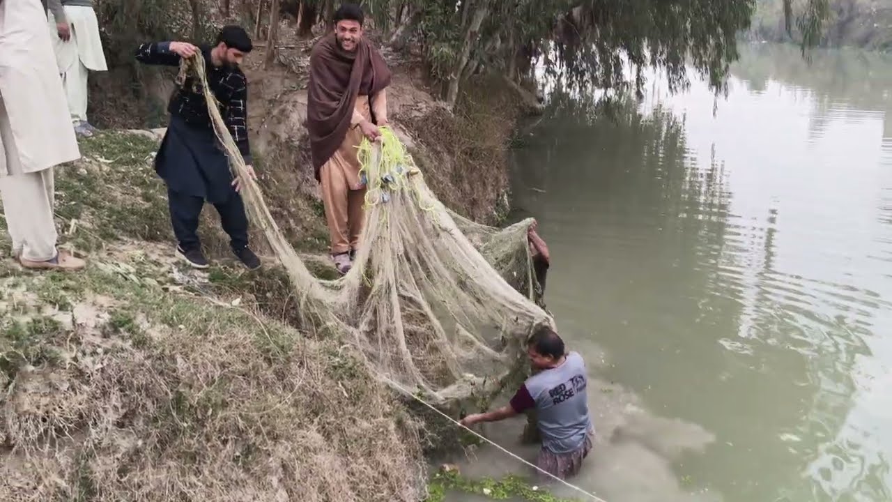 Outstanding Fishing in Deep and Grassy water || Catching Fish with the help of net