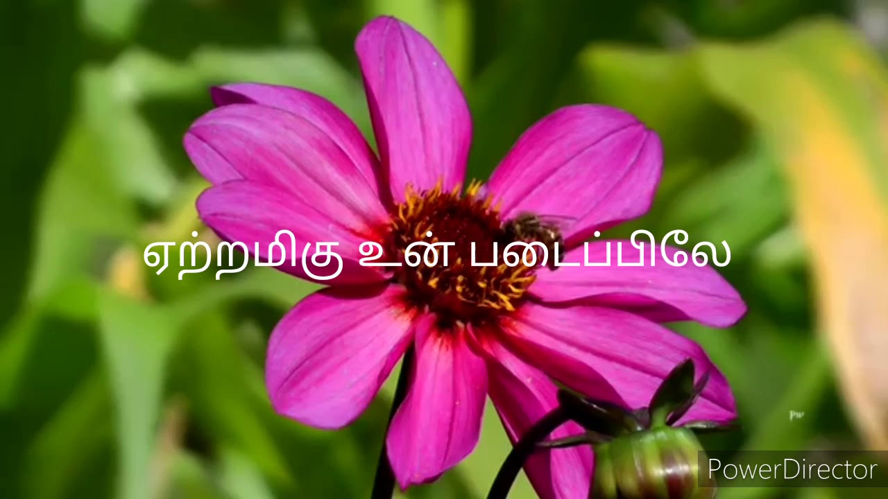 Tamil Christian song || En nenja veenayil  || Mega hit song