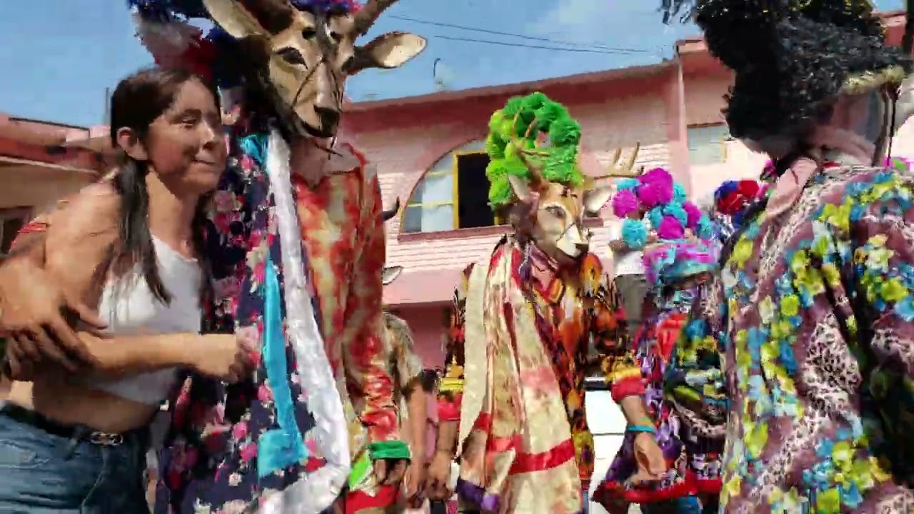 Miércoles de Carnaval Afromestizo en Alto de Tío Diego Veracruz