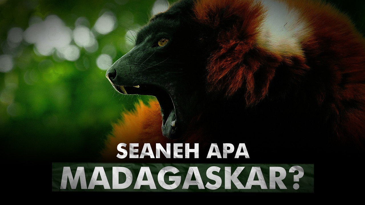 Harta Karun Spesies Endemik | Madagaskar