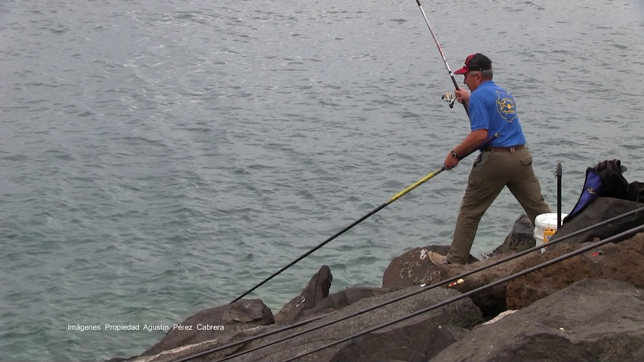 Competición de Pesca a caña Muelle Deportivo 28 06 2020 Las Palmas g c