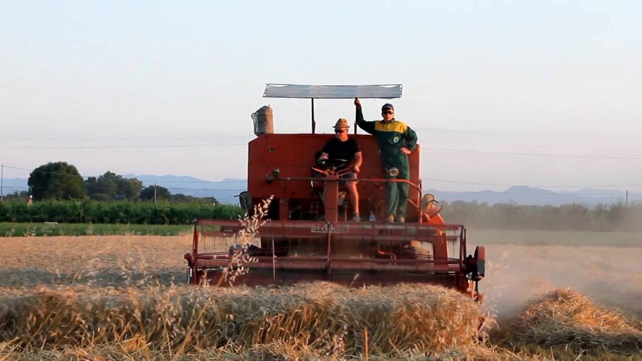 trebbiatura grano 2016
