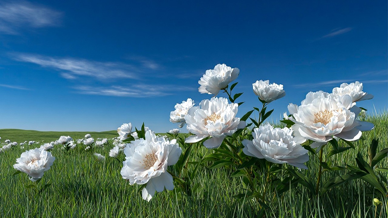 Шикарная музыка для души 🌺 Сергей Грищук | музыкальная терапия и гармония сердца