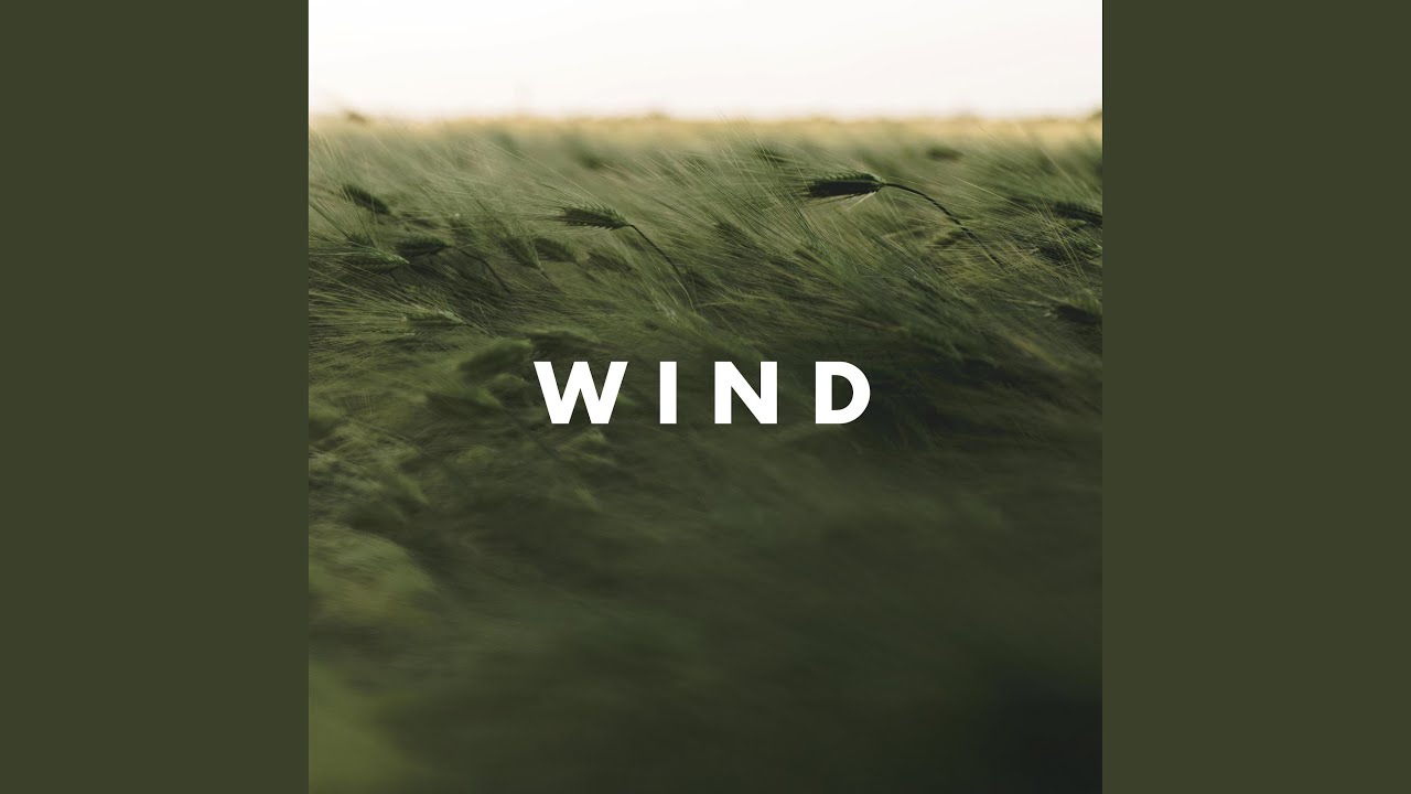 Wind