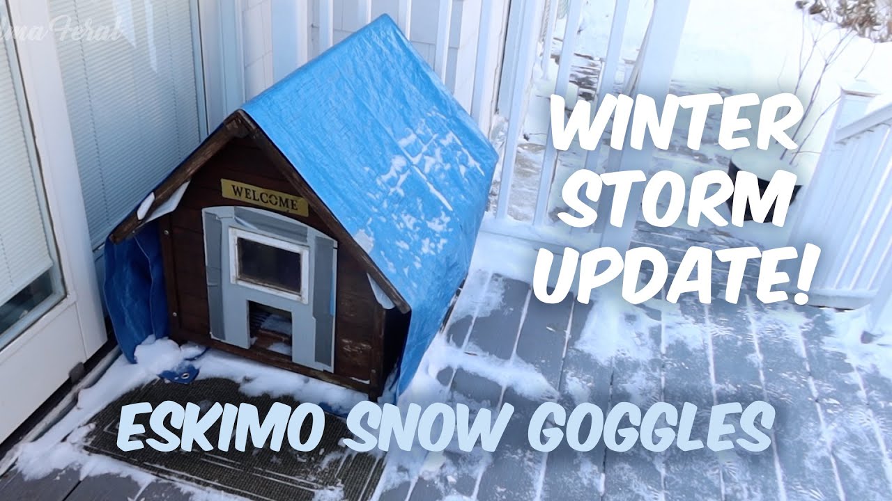Обновление информации о зимнем шторме и горнолыжные очки Eskimo.