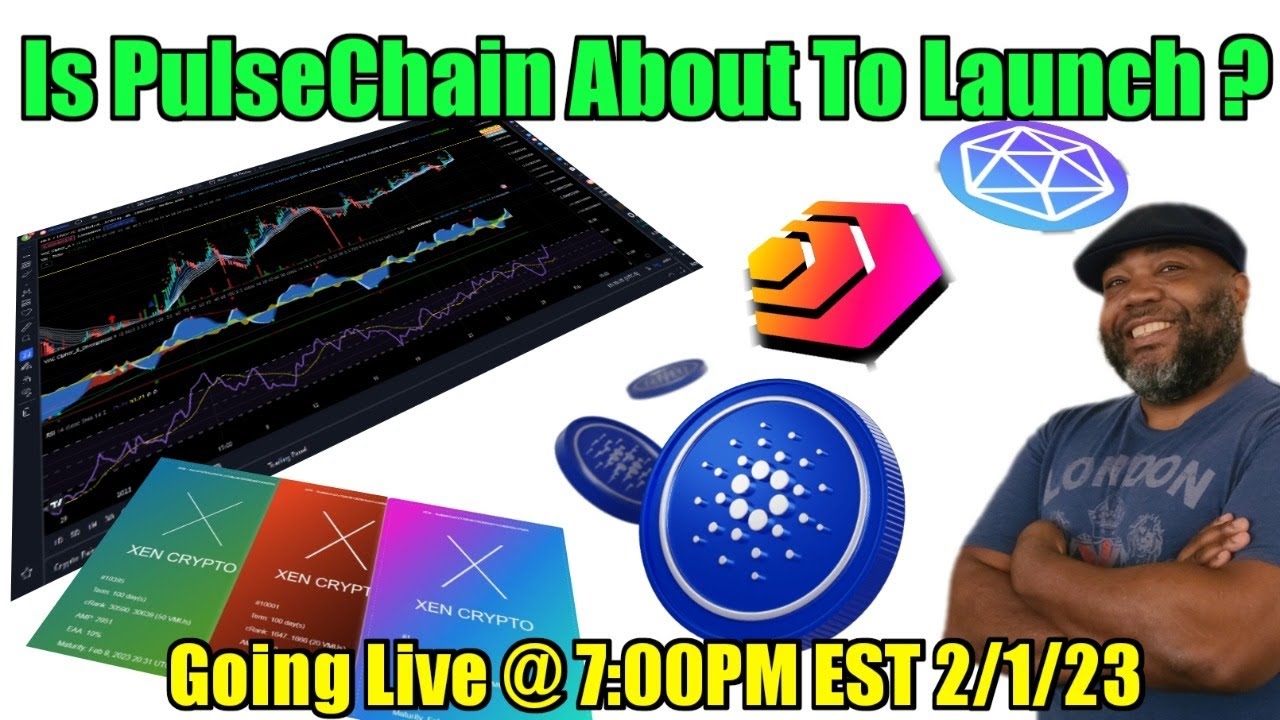 Lets Chat About HEX Crypto, PulseChain, XEN, XENFT, X1, and $More