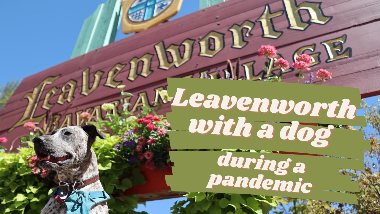 Leavenworth, Washington with a Dog during a pandemic