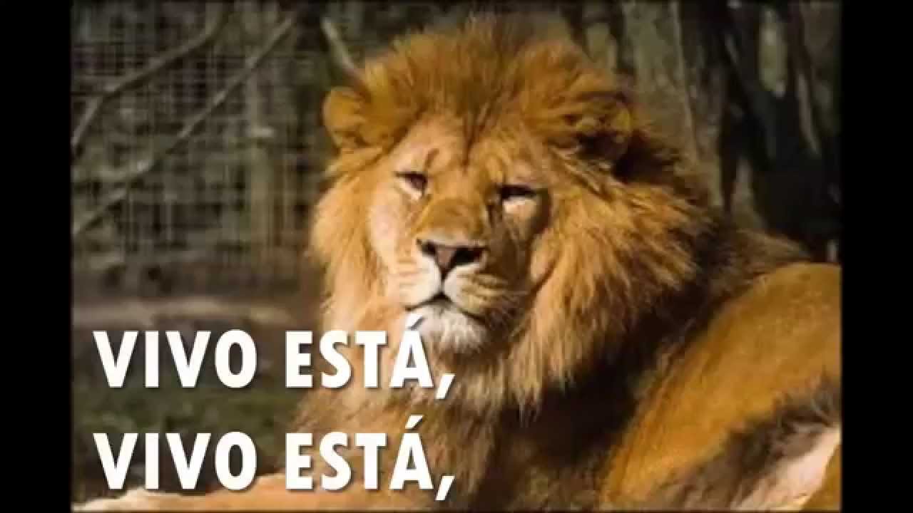 MIX PARA DANZAR CON LETRA - NEW WINE EL REY JESUS