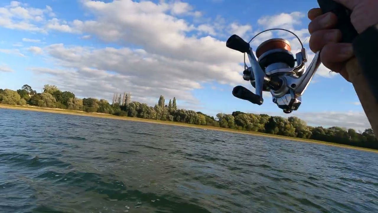 Hanningfield Reservoir (carolina rig  trout fishing)