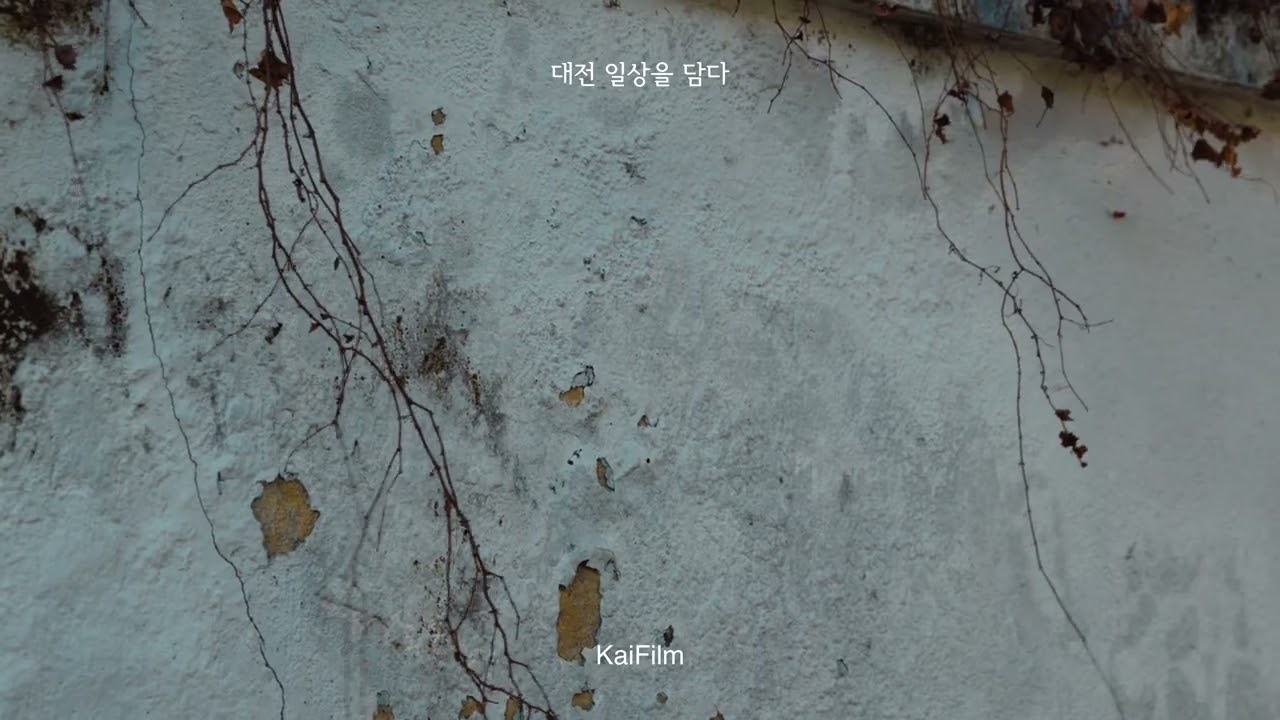 [Kai.F.Studio] 일상