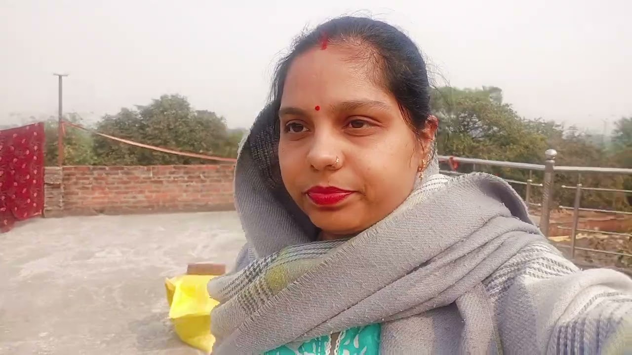 Daily vlogs -53 कैसे बिता आज का दिन।। क्या - क्या किया आज हमने।।