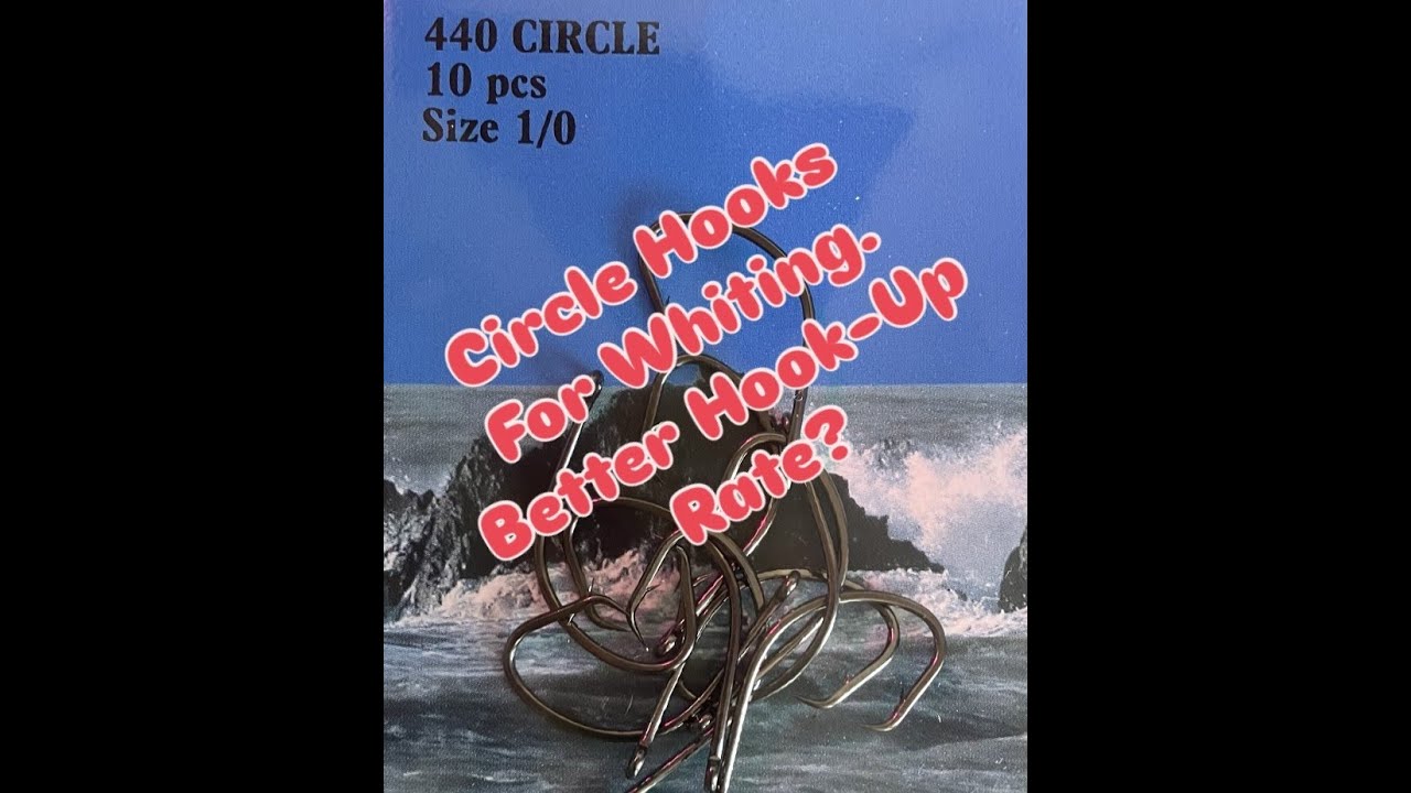 Trying Circle Hooks for Whiting.  North East Sea Fishing