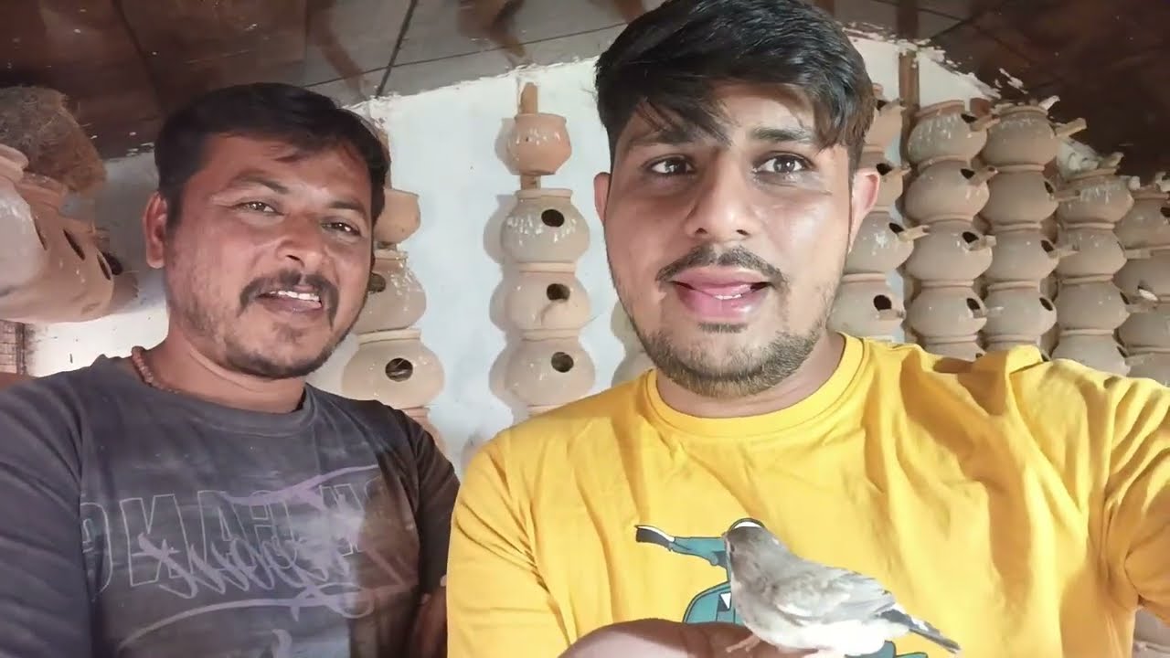 Private Zoo in Bhavnagar | Dog kennel and bird breeding setup #bhavnagar