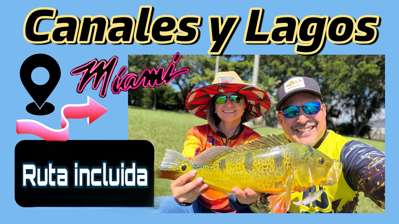 Disfruta la pesca en 1 hora.  Pescando en los canales de miami, Con puntos secretos incluidos.