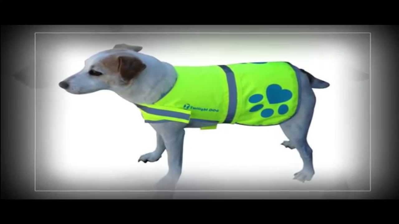Beautiful Reflective Dog Safety Vest |  Twilight Life safety Vest For Your Dog! Must watch