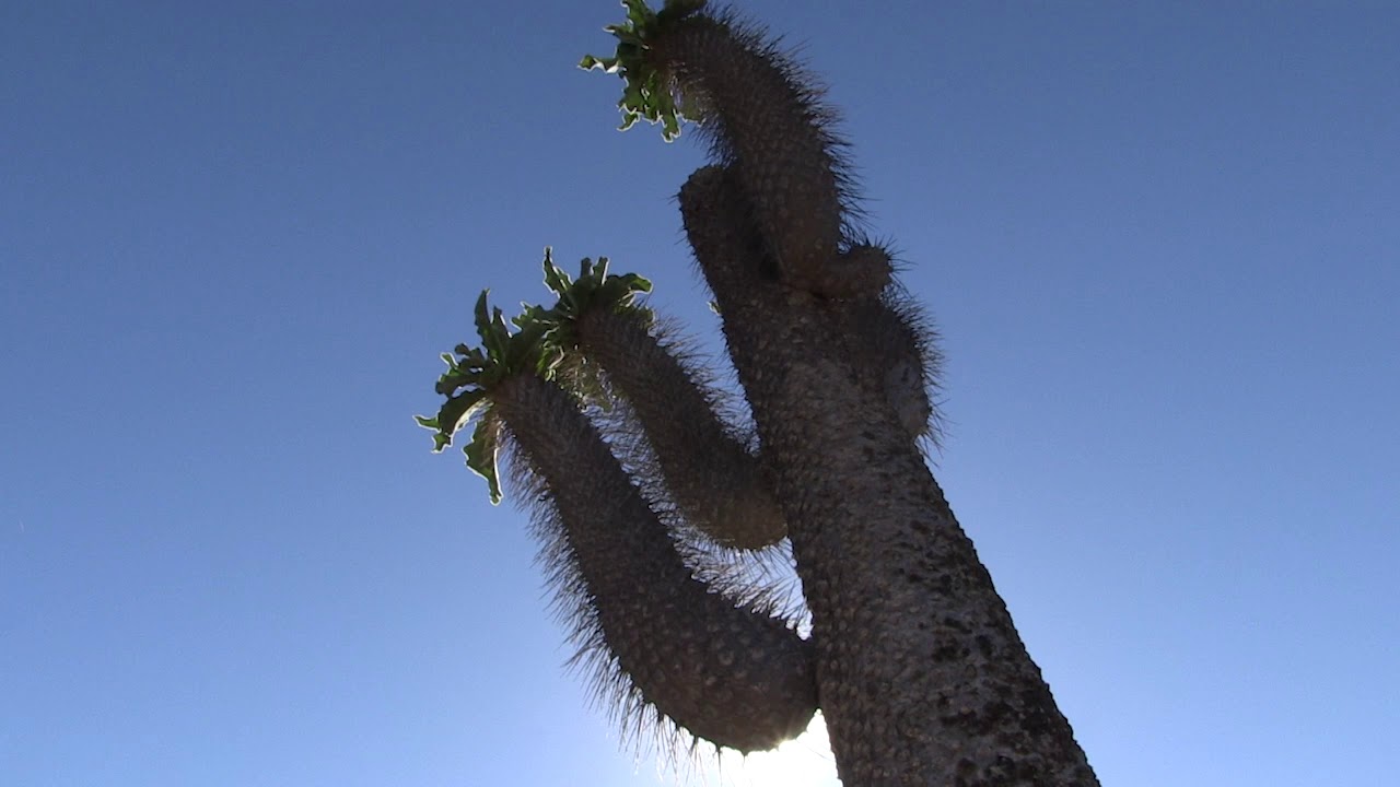 Richtersveld