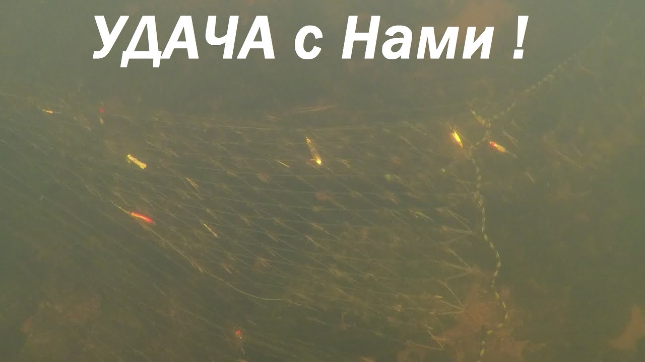 Браконьерская сеть-ГОРЕ рыбакам, подвохам-СЧАСТЬЕ / Poaching network-WOE to fishermen
