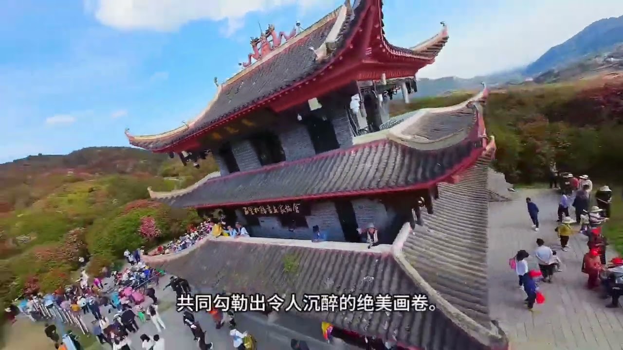 中国贵州百里杜鹃/🇨🇳Baili Rhododendron in Guizhou, China