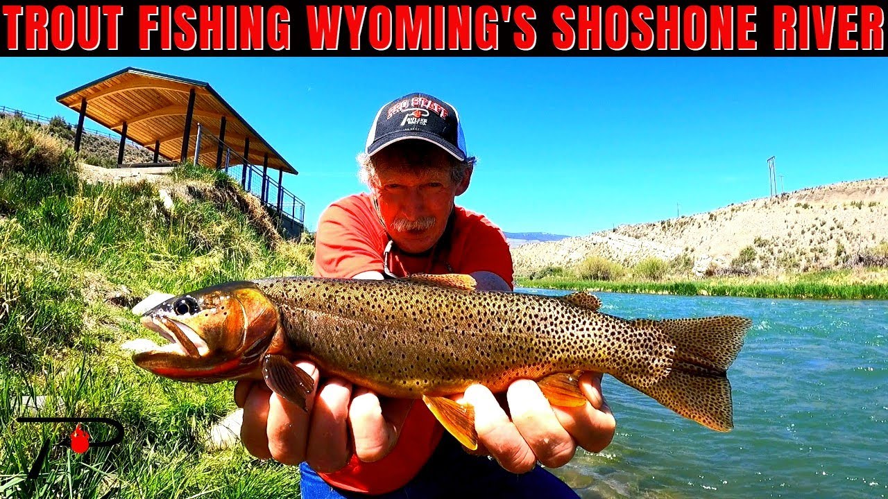 Trout Fishing Wyoming's Shoshone River