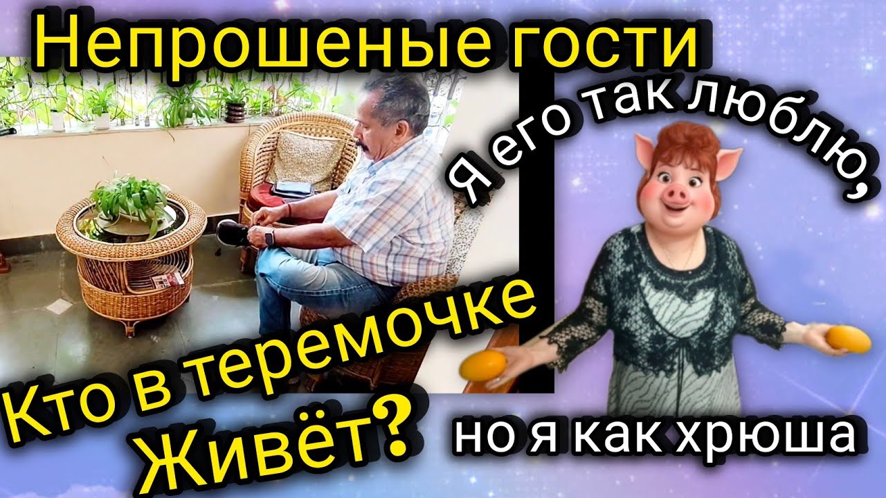 Квартиранты поселились,а хозяина не предупредили. Он самый, самый ...