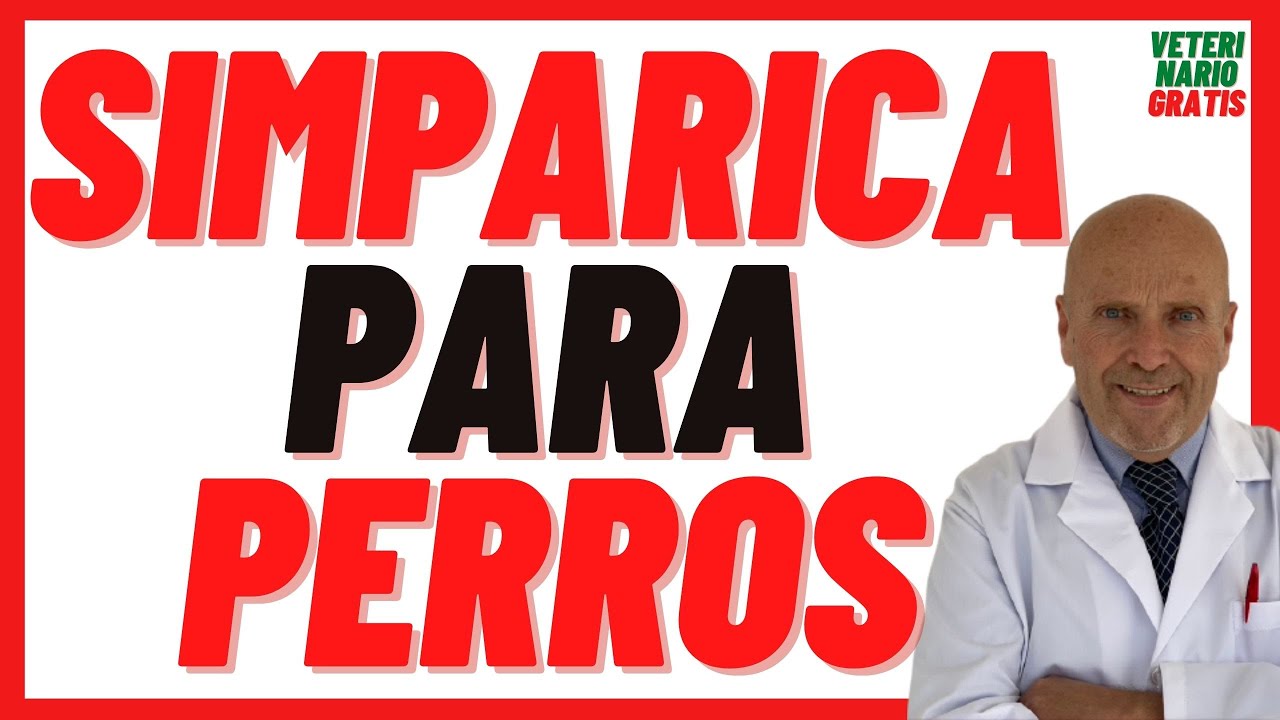 SIMPARICA, Sarolaner, 80, 40, 20, 10 mg  🟢Pastillas Para Pulgas, Garrapatas, Sarna en perros, Precio