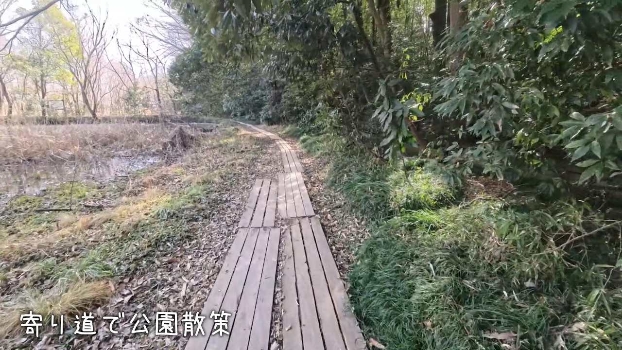 寄り道で公園散策 20260212