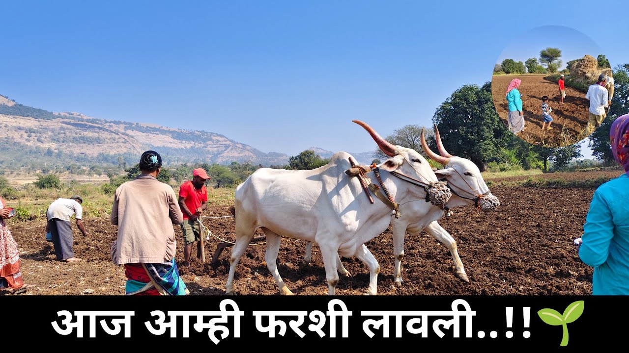 आज आम्हाला फरशी लावायची आहे.. 