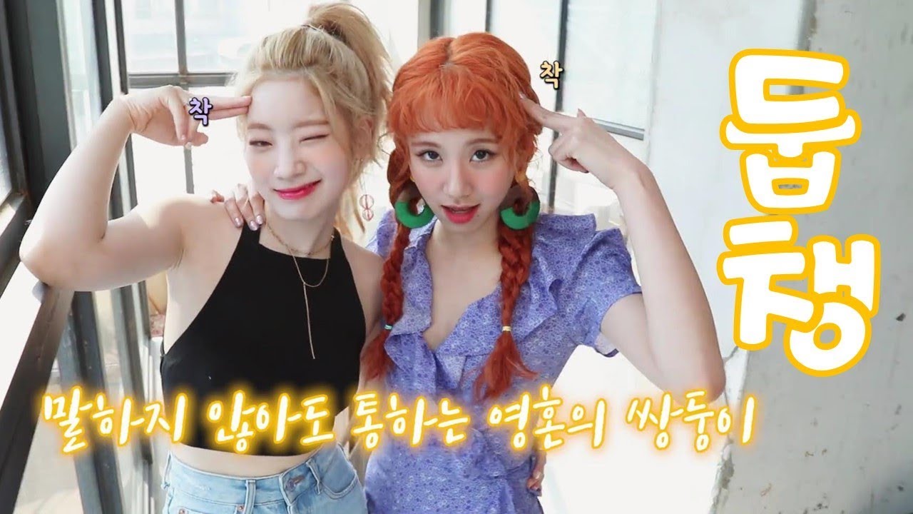 [TWICE] 트와이스 다현 채영 - 흥두부와 아기맹수 둡챙 환상 케미 귀여움 주의