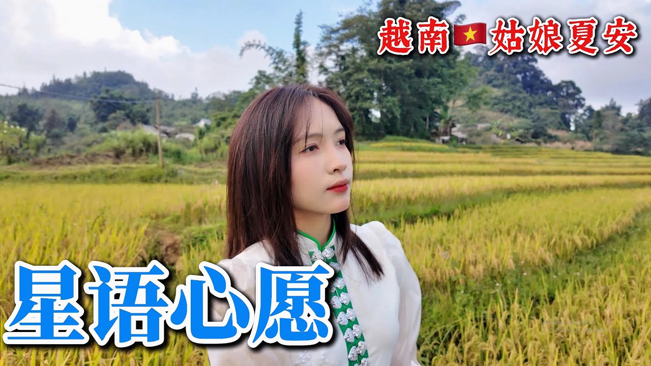 越南苗族团【星语心愿】夏安 COVER。我要控制我自己不会让谁看见我哭泣
