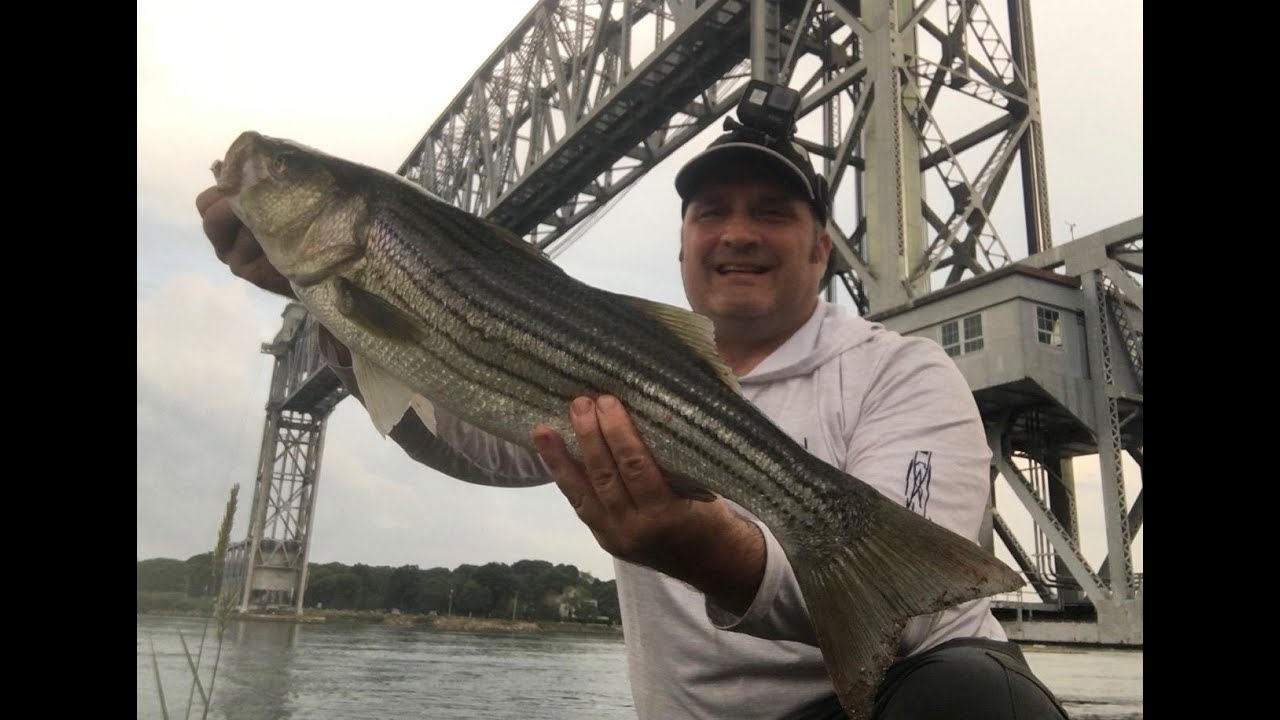 Part:1 Stripers & Sharks/Cape Cod Canal/July 7 & 8, 2025