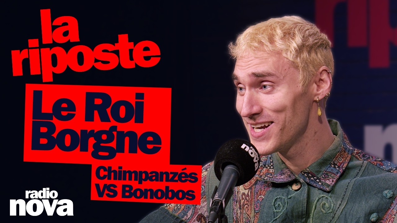 Chimpanzés VS Bonobos - La chanson du Roi Borgne dans 