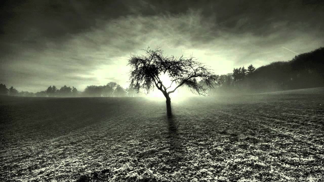 Content - The Maori [FREE D/L]
