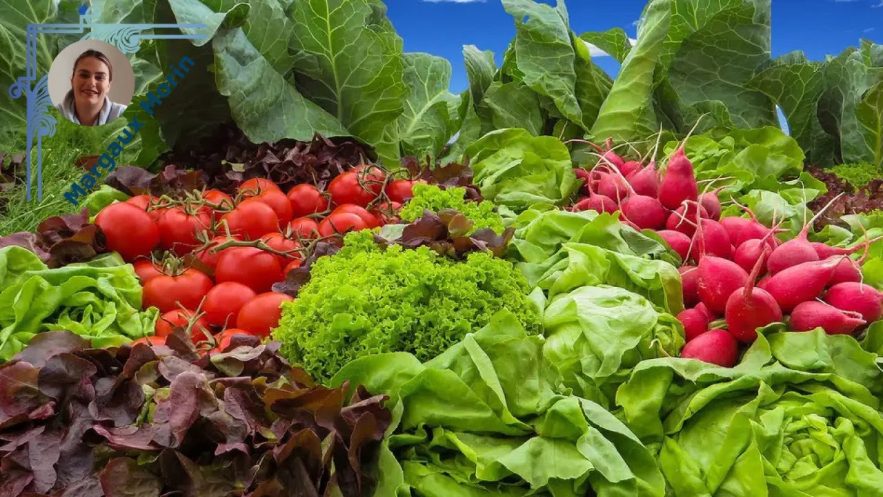 Potager : Explorez des l&eacute;gumes insolites et surprenants pour votre jardin !