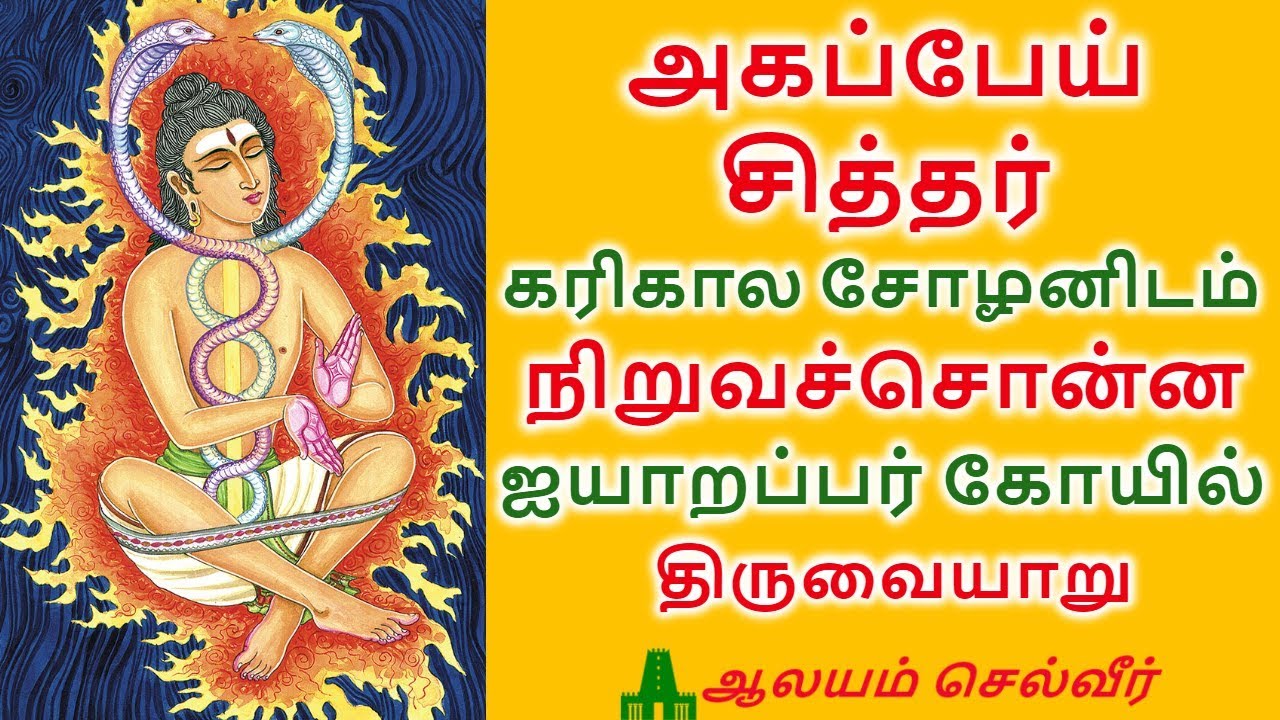 அகப்பேய் சித்தர் கரிகால சோழனிடம் நிறுவச்சொன்ன திருவையாறு ஐயாறப்பர் கோயில் | Aiyarappar Temple