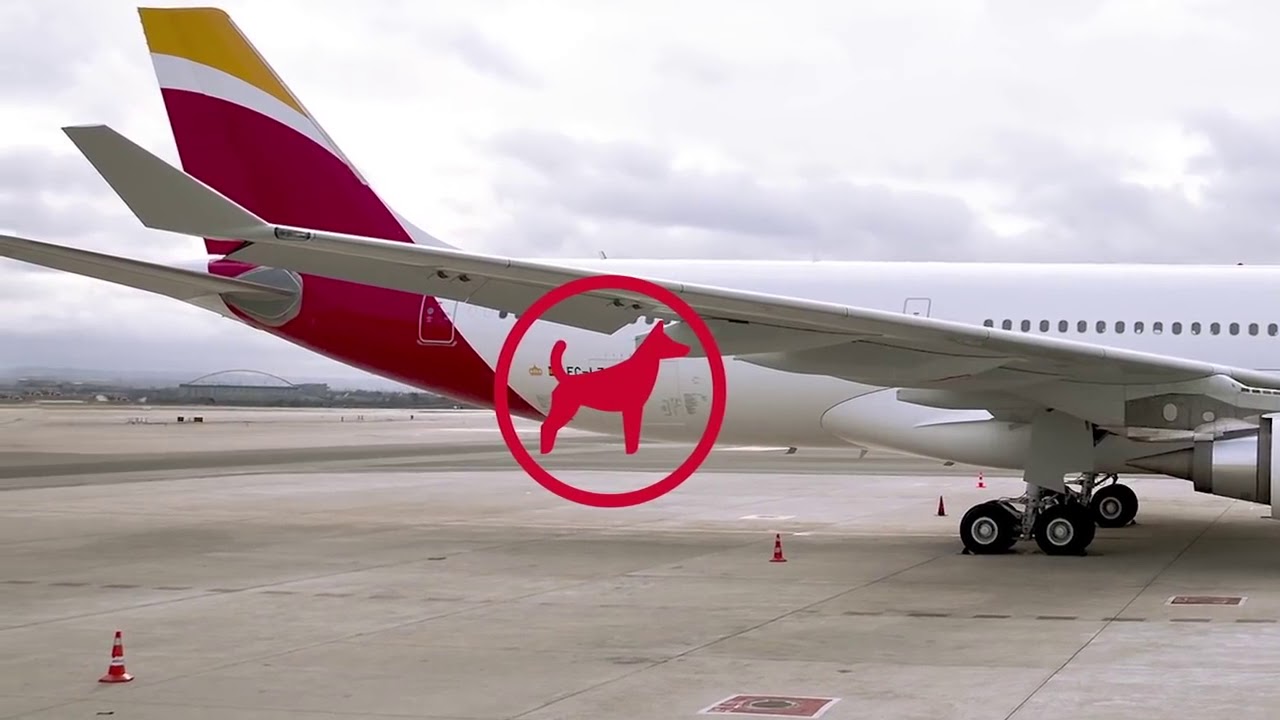 Como viajar con tu mascota:IBERIA