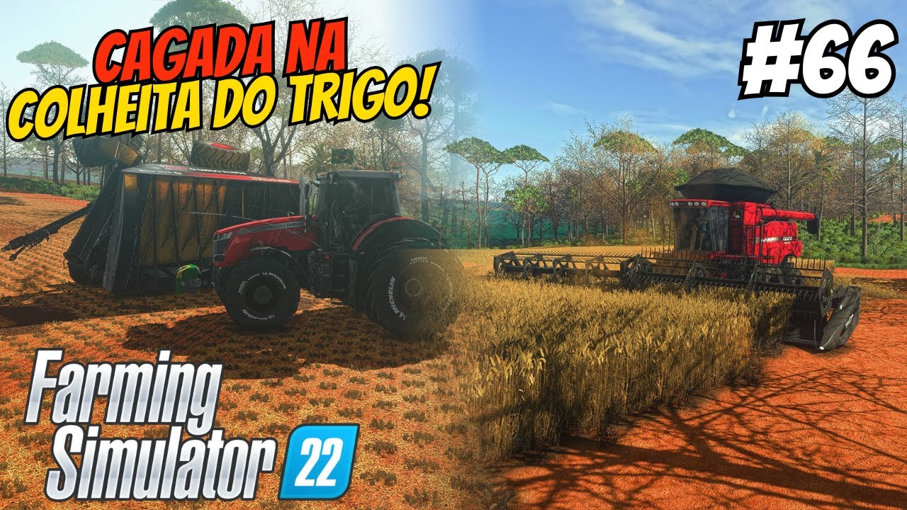 DEU RUIM NA ULTIMA COLHEITA DE TRIGO DA CASE NA FAZENDA GAÚCHA #66