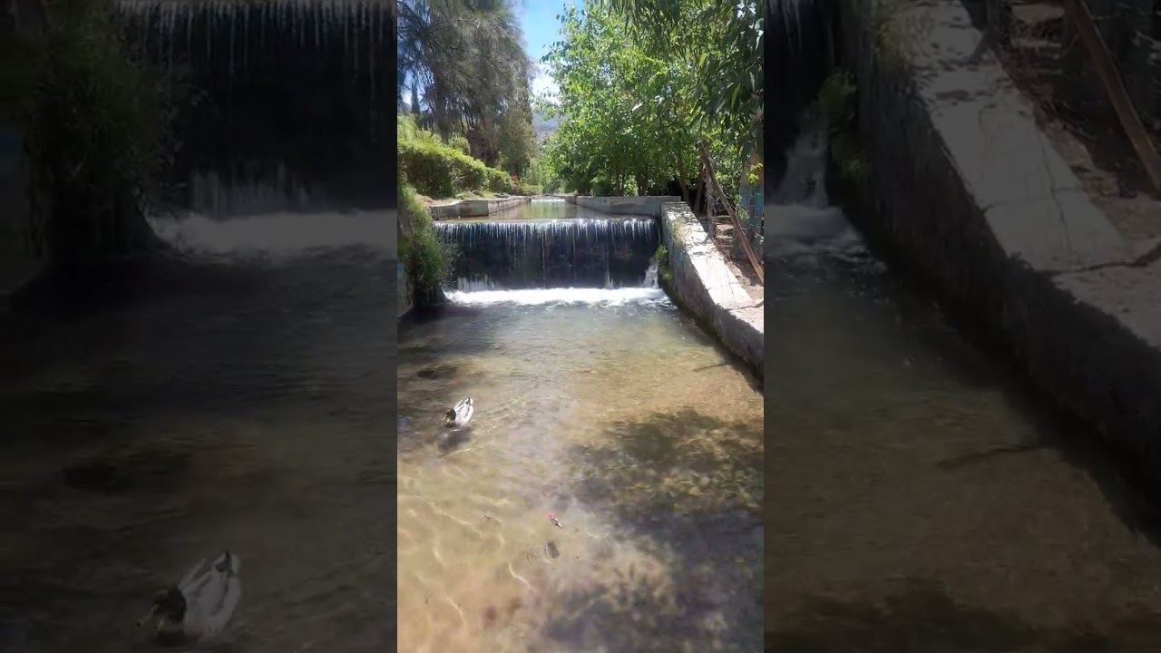من منتزه عيون تامدة زاوية الشيخ