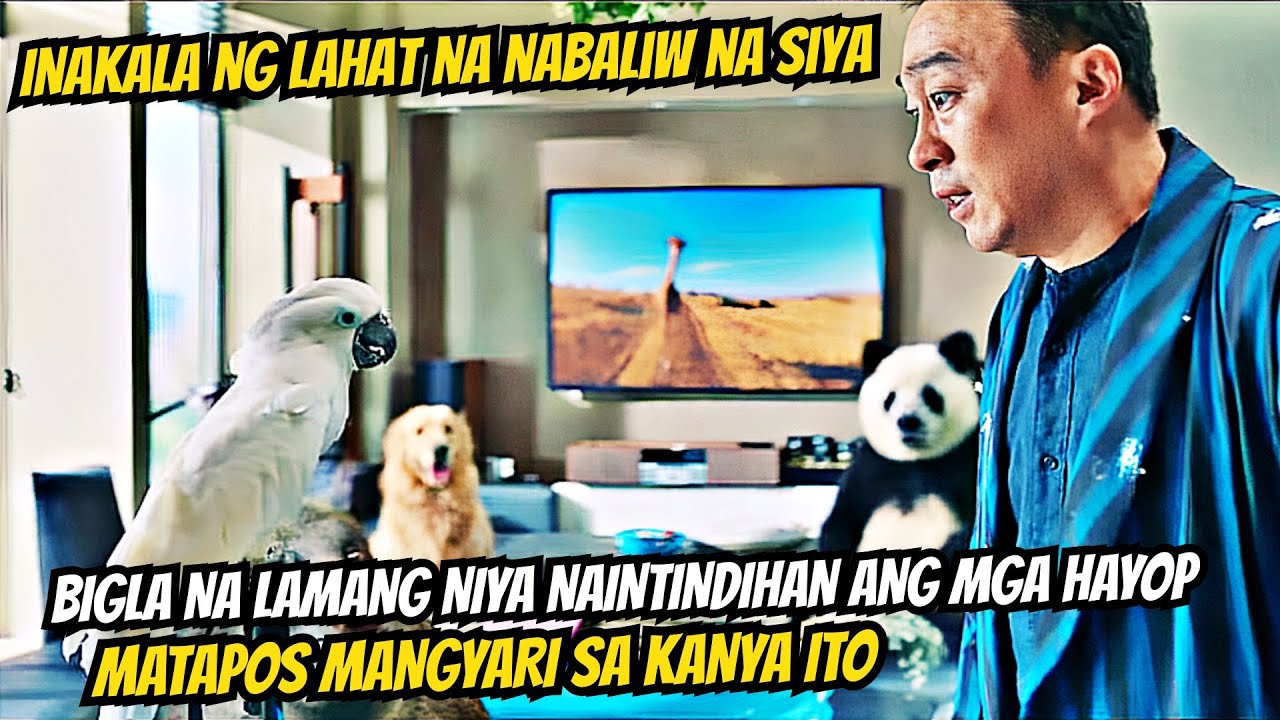AKSIDENTE SIYANG NAGKAROON NG KAKAYAHANG MAINTINDIHAN ANG MGA HAYOP | Tagalog movie recap