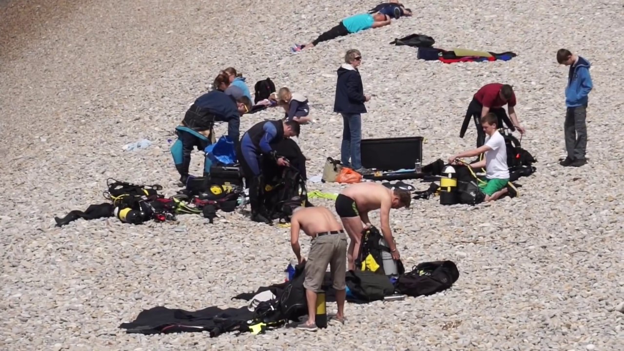 Dorset Sealife - Chesil Beach Underwater