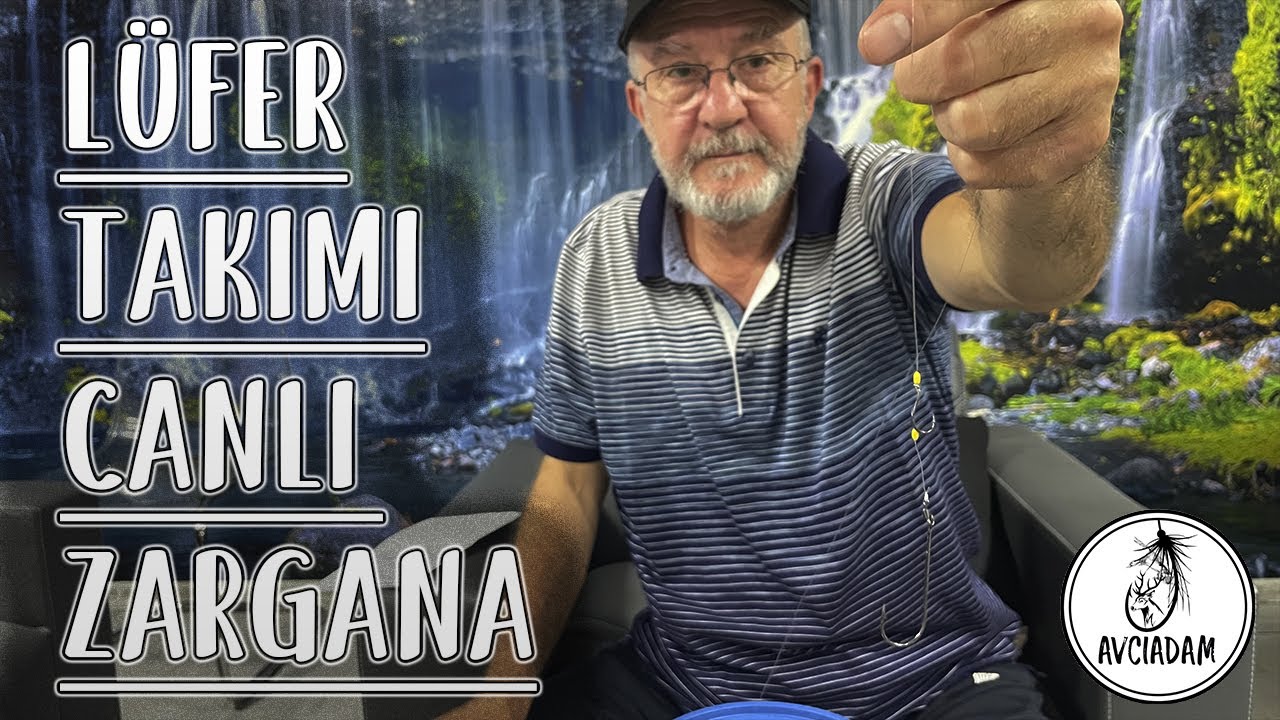 Canlı Zargana Lüfer Takımı I (Olta Takımı)