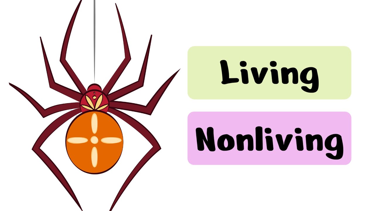 Living and Nonliving Things Quiz | Quiz for Kids | Science Quiz for Kids