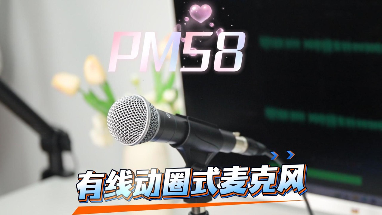 ALCTRON PM58 Professional Dynamic Vocal Microphone