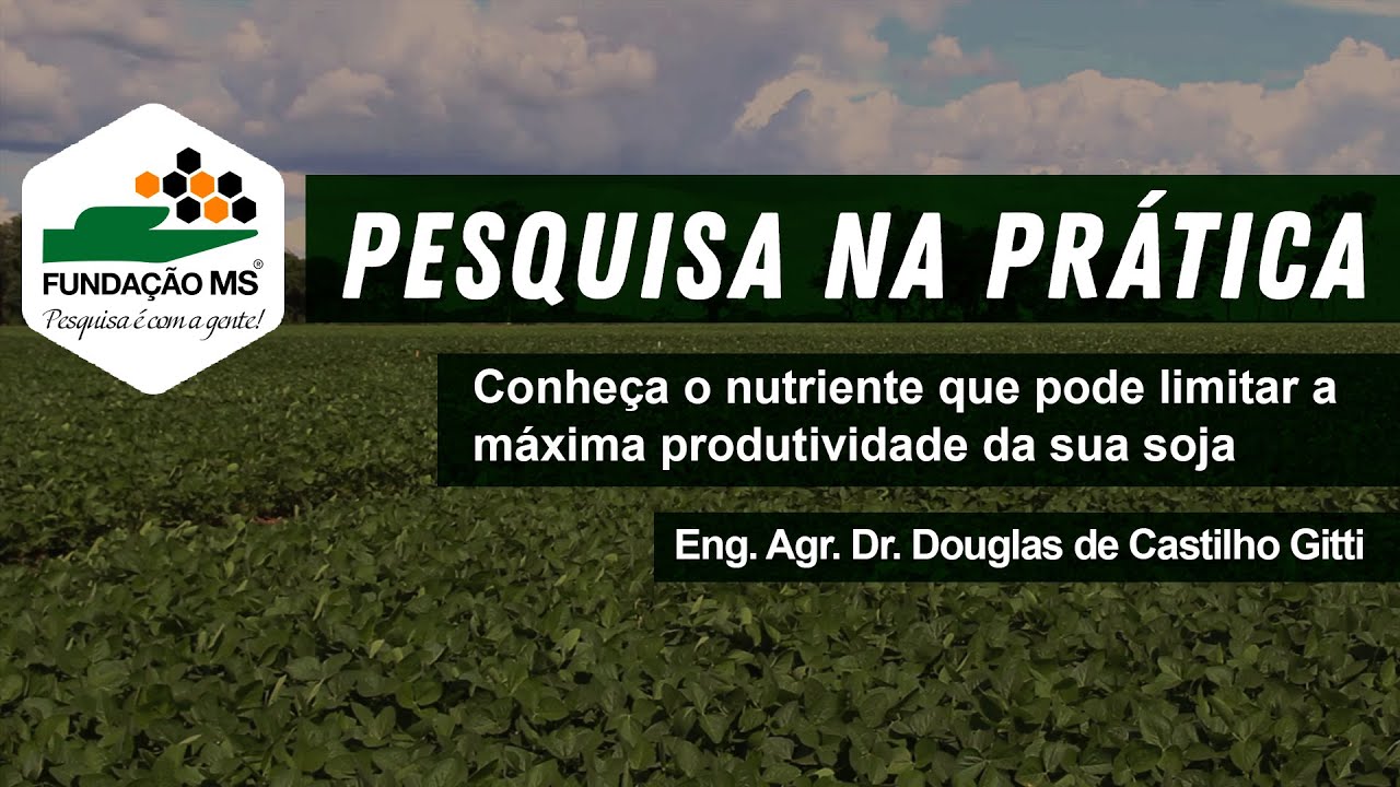 Conheça o nutriente que pode limitar a máxima produtividade da sua soja