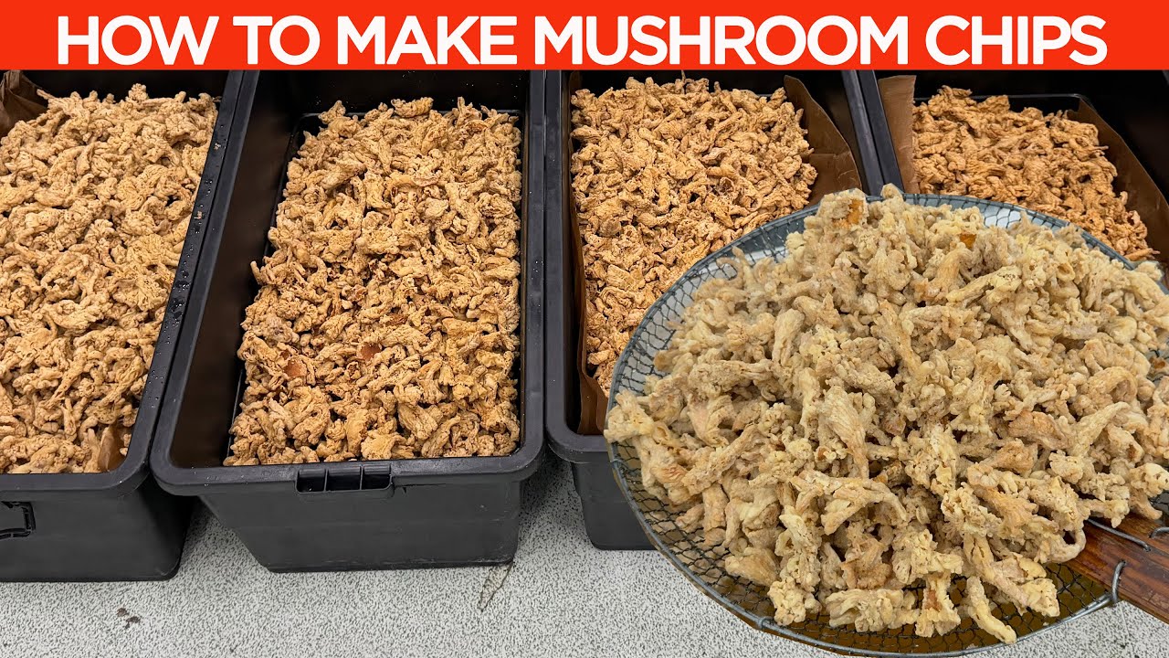 HOW TO MAKE MUSHROOM CHIPS | Business Ideas At Home