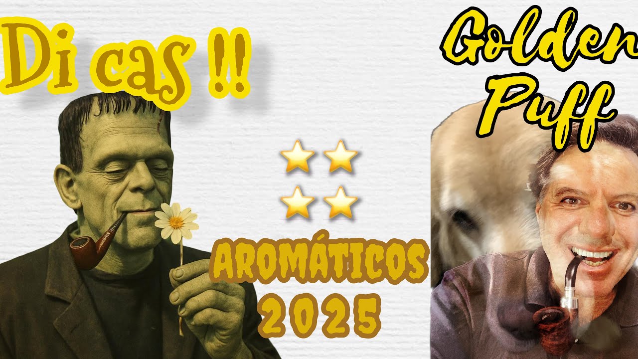 Dicas AROMÁTICOS, os Melhores 2025