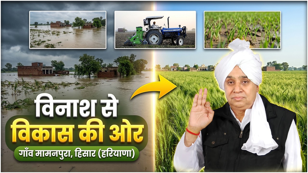 विनाश से विकास की ओर: गाँव मामनपुरा, हिसार (हरियाणा) में बाढ़ के बाद शुरू हुआ खेती का सफर- Mamanpura