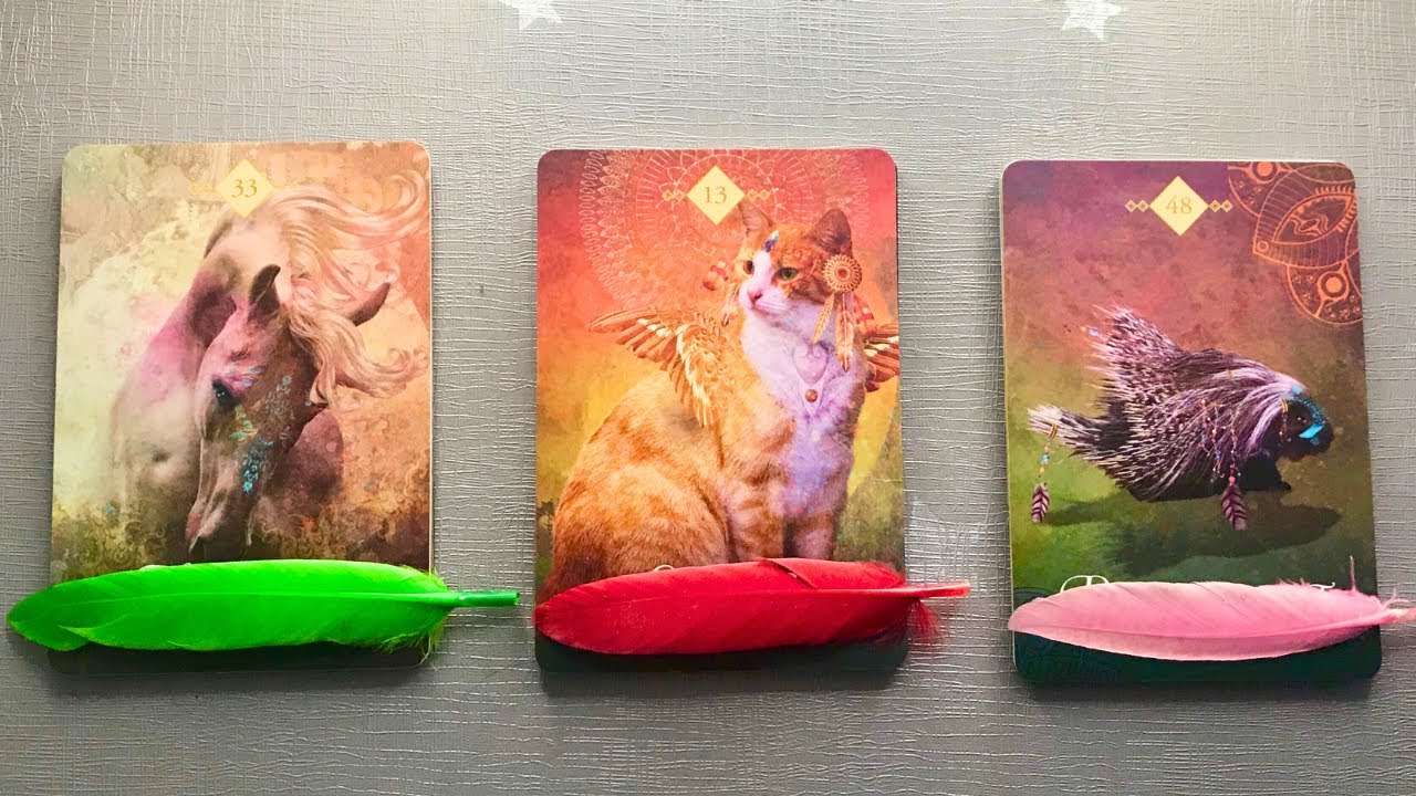 💌 Pick a Card | 🌈 What’s Coming Next For You 💕💰💫✈️ | Timeless | | Teacup Tarot ☕️