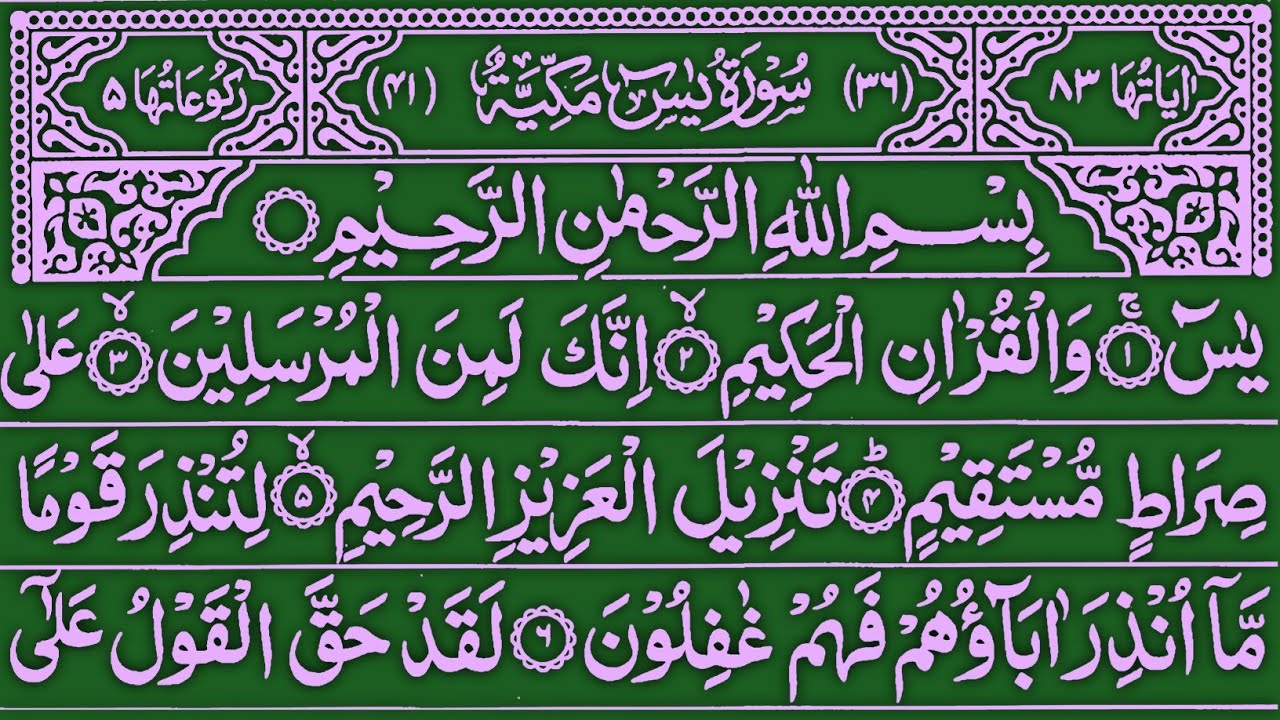 Surah Yaseen | Yasin Dua | Episode 448 | Daily Quran Tilawat Surah Yasin Surah Rahman Dua Full HD