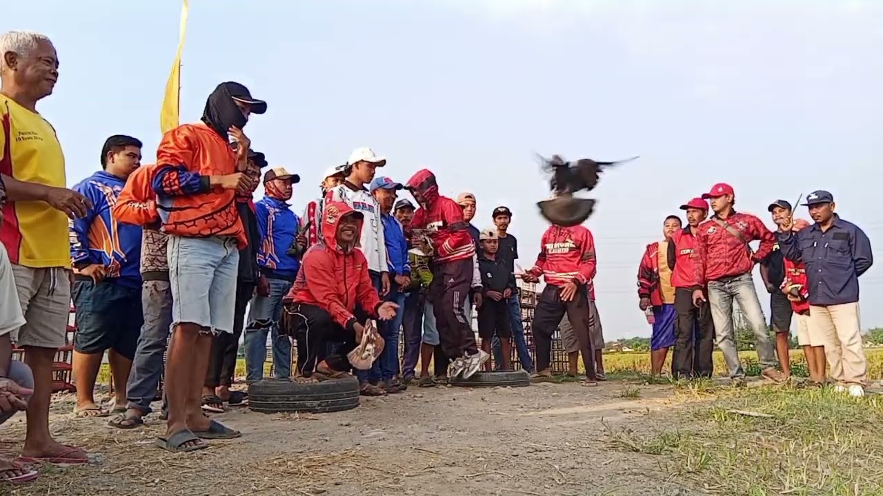 Babak 3 LU Junior Putaran Pati Kudus Jepara Demak Purwodadi 